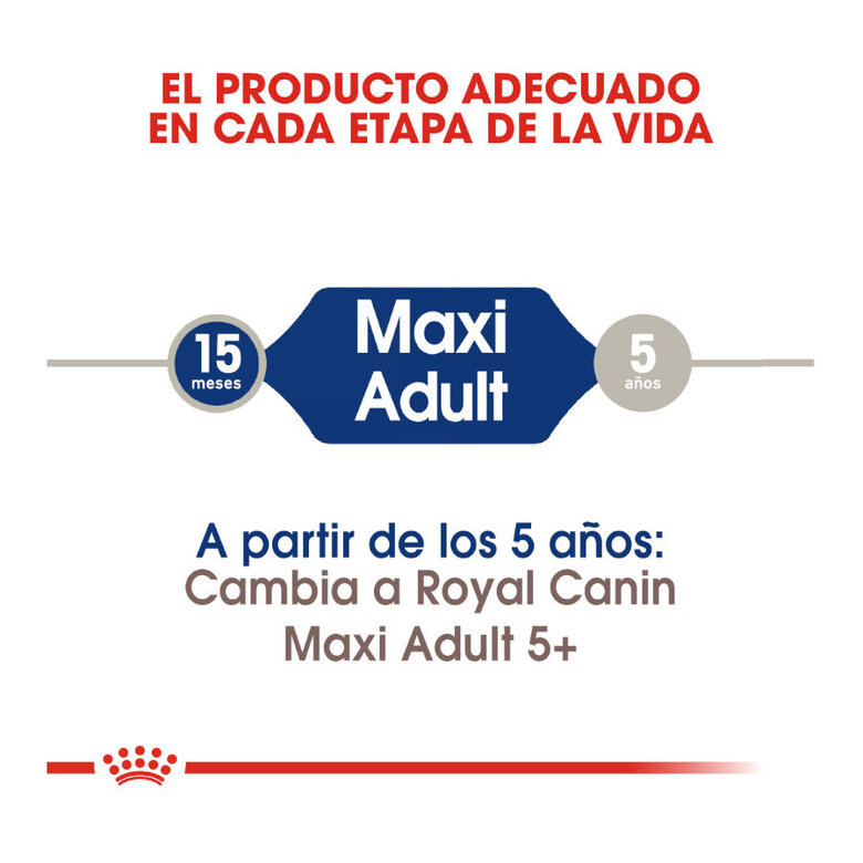 Royal Canin Maxi Adult ração para cães, , large image number null